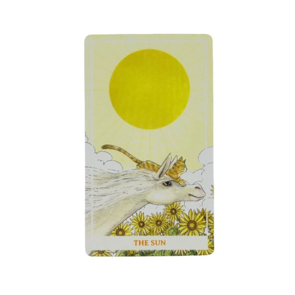 Sunny Orange Cat Tarot Cards A - Party Games Best 评论和价格